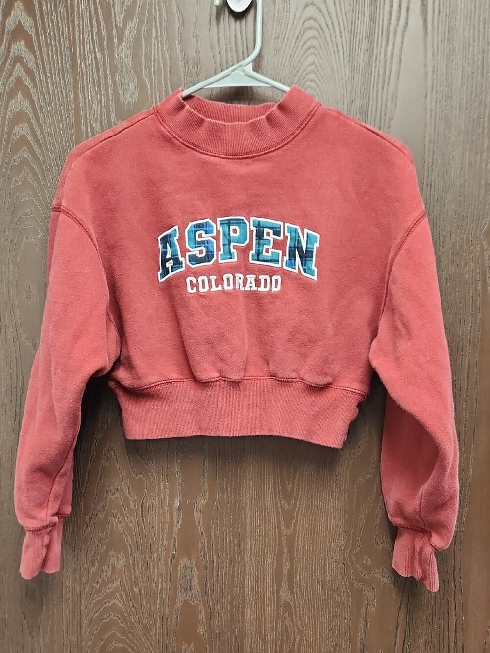 🚨2/$25 or 5/$50🚨Forever 21 Cropped Aspen Colorado Sweatshirt - Rust